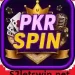 PKR Spin Game